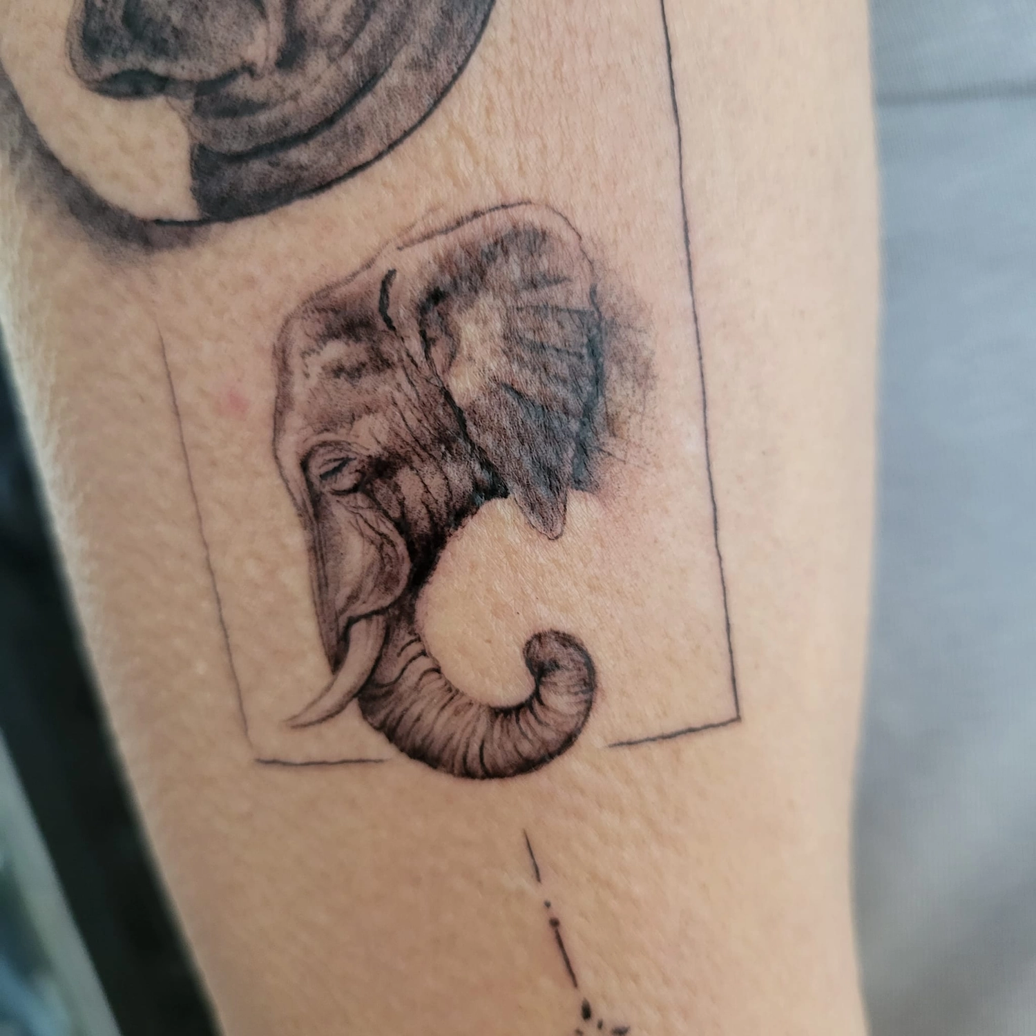 A Fleur de Peau - Professionelles Tattoo Studio - Tätowierung am Arm einer Person